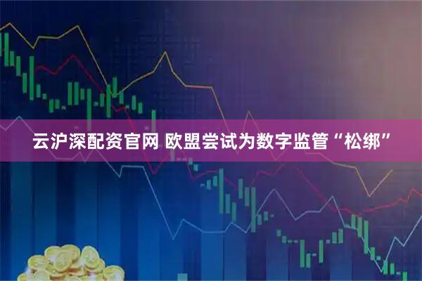 云沪深配资官网 欧盟尝试为数字监管“松绑”