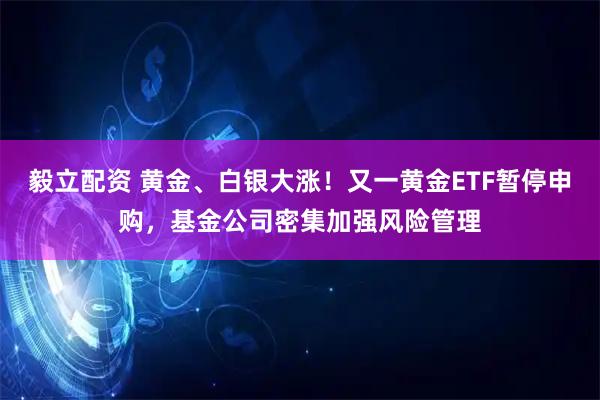 毅立配资 黄金、白银大涨！又一黄金ETF暂停申购，基金公司密集加强风险管理