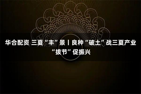 华合配资 三夏“丰”景丨良种“破土”战三夏产业“拔节”促振兴